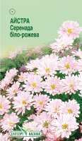 Квіти Айстра Серенада біло-рожева 0,2г