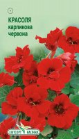 Цветы Настурция карликовая красная 10шт