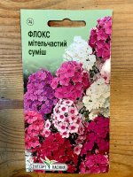Цветы Флокс метельчатый смесь 5шт