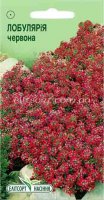 Цветы Лобулярия красная 0.2г