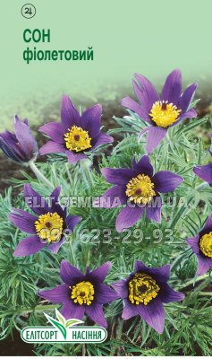 Квіти Сон фіолетовий 0,05г