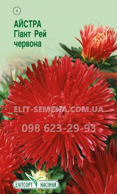 Квіти Айстра Гіант Рей червона 0.2г
