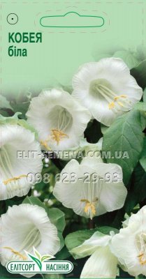 Квіти Кобея біла 5шт