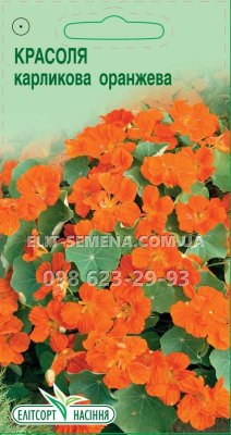 Квіти Красоля карликова оранжева 10шт