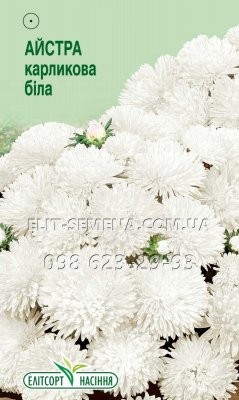 Квіти Айстра карликова біла 0,2г