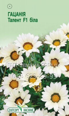 Квіти Гацанія Талент біла 5шт