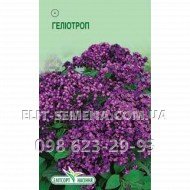Цветы Гелиотроп фиолетовый 20шт