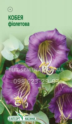 Квіти Кобея фіолетова 5шт