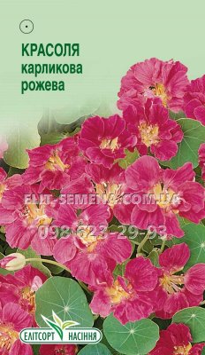 Цветы Настурция карликовая розовая 10шт