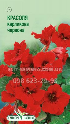 Квіти Красоля карликова червона 10шт