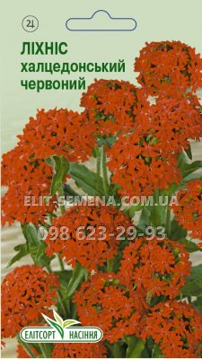 Цветы Лихнис халцедонским красный 0.2г