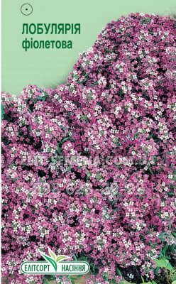 Цветы Лобулярия фиолетовая 0.2г