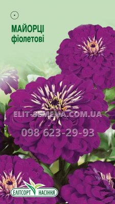 Цветы Циния махровая фиолетовая 0.5г