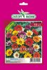 PREMIUM Гацанія талент суміш F1 10 шт  PREMIUM Гацанія талент суміш F1 10 шт