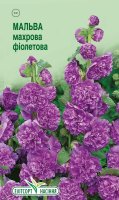 Квіти Мальва махрова фіолетова 10шт