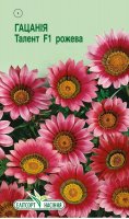 Квіти Гацанія Талент рожева 5шт