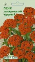 Цветы Лихнис халцедонским красный 0.2г