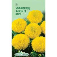 Квіти Чорнобривці Антігуа жовті 5шт
