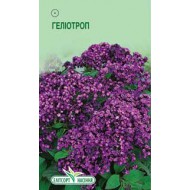 Квіти Геліотроп фіолетовий 20шт