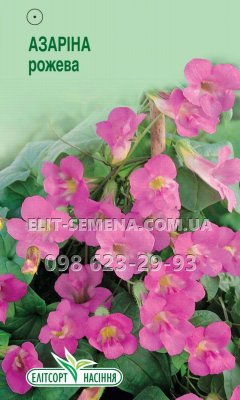 Квіти Азаріна рожева 10шт