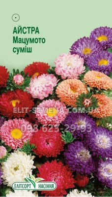 Квіти Айстра Мацумото 0.2г