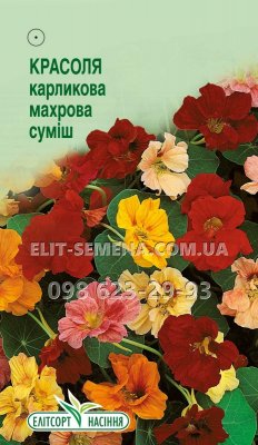 Квіти Красоля карликова суміш 10шт