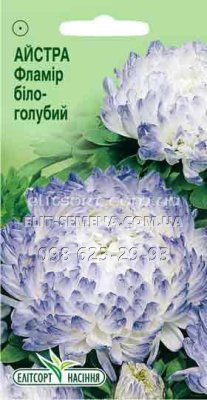 Квіти Айстра Фламір біло-голубий 0.2г