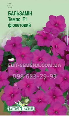 Квіти Бальзамін Темпо F1 фіолетовий 5шт