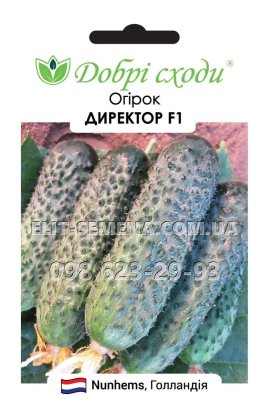 Огірок Директор F1 10шт Нідерланди