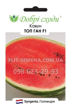 Кавун ТОП ГАН F1 Нідерланди 5нас
