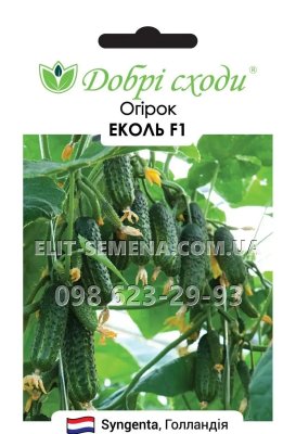 Огірок Еколь F1 10 шт Нідерланди