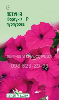 Квіти Петунія Фортунія Пурпурова 5шт